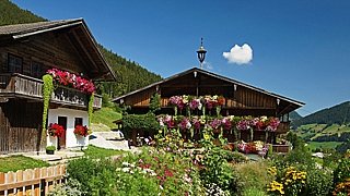 Immobilien im Zillertal kaufen