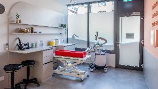 Tierarzt in Frankfurt - moderne Tiermedizin im Nordend